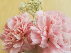 -好宜家眼视光·蔡司店(临汾店)