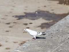 -星海广场