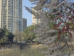 -红星桥(地铁站)