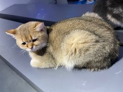 -极木²邸 人与宠物·互动社区