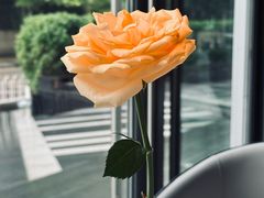 -望京辣宴·古法川菜(望京店)