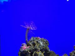 -青岛海底世界-水族馆