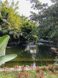-莲生母婴月子中心(清水河公园店)