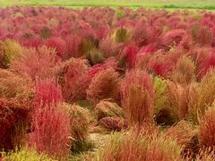 -汉长安城未央宫国家考古遗址公园