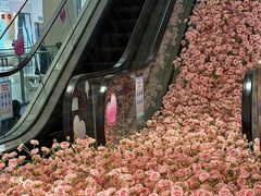 -洋洋广场(南街店)