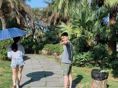 -瑶湖郊野森林公园