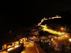 -第35届青岛国际啤酒节