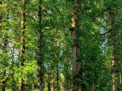 -国家植物园南园