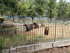-秦皇岛野生动物园