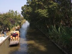 -上海长兴岛郊野公园