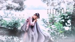 -YISHU一树影像工作室(惠城店)