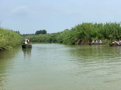 -泗洪洪泽湖湿地景区