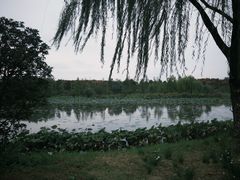 -南湖国家城市湿地公园