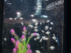 -苏州海洋馆