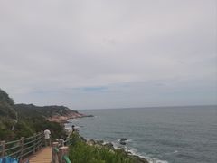 -广东惠东海龟国家级自然保护区