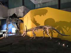 -湖南省地质博物馆