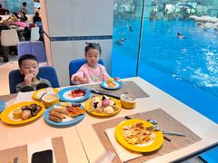 -帝企鹅自助餐厅•儿童岛•真企鹅(长隆企鹅酒店)