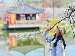 -东湖磨山景区樱花园-停车场