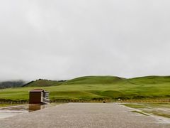 -山丹皇家马场