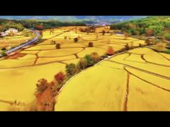 -塔川景区