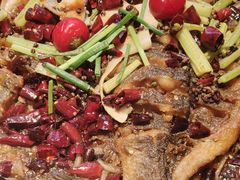 -老板恋上鱼(恒隆广场店)