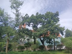 -八大关景区