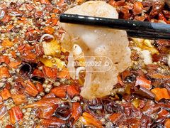 沸腾鱼-文记四川鱼馆(小纬北路店)