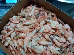 -沈阳水产批发市场