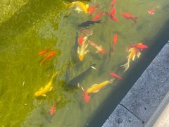 -济南国际园博园