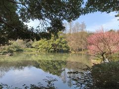 -杭州植物园