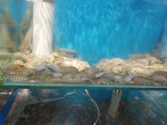 -船梆煮•蒸汽海鲜·生腌干蒸(五四广场店)