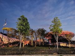 -宝安西湾红树林湿地公园