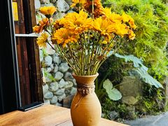 -蓝壁虎咖啡酒馆