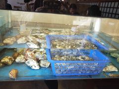 -天正河鲀·河豚亭(大连店)