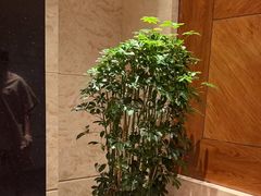 -东方威尼斯温泉酒店