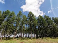 -塞罕坝国家级自然保护区