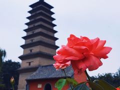 -正定古城-开元寺