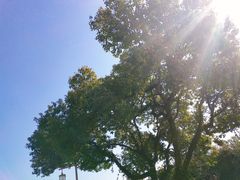 -普陀山风景名胜区-法雨禅寺