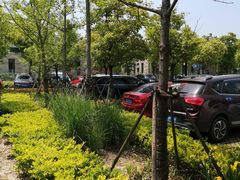 -上海浦江郊野公园·1号停车场