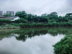 -大亚湾红树林城市湿地公园