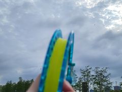 -春花秋色城市公园