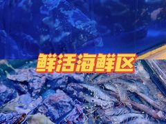 -盒马鲜生(大成店)