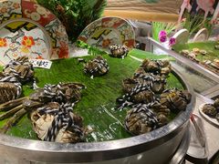 -五月罗马海鲜自助餐厅(陆家嘴店)