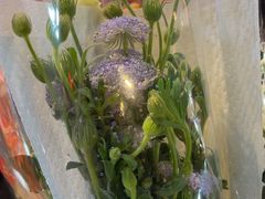 -循礼门鲜花花市(武汉循礼门店)