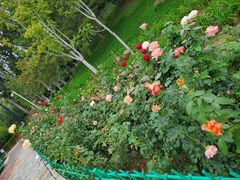 -燕郊植物园