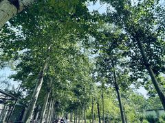 -杨柳青庄园