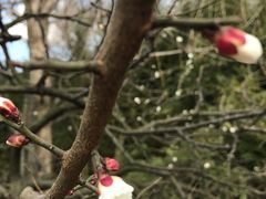 -大宁灵石公园西门票处