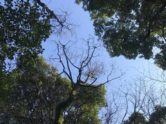 -九曜山
