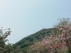 -小南山公园