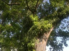 -龙环葡韵住宅式博物馆